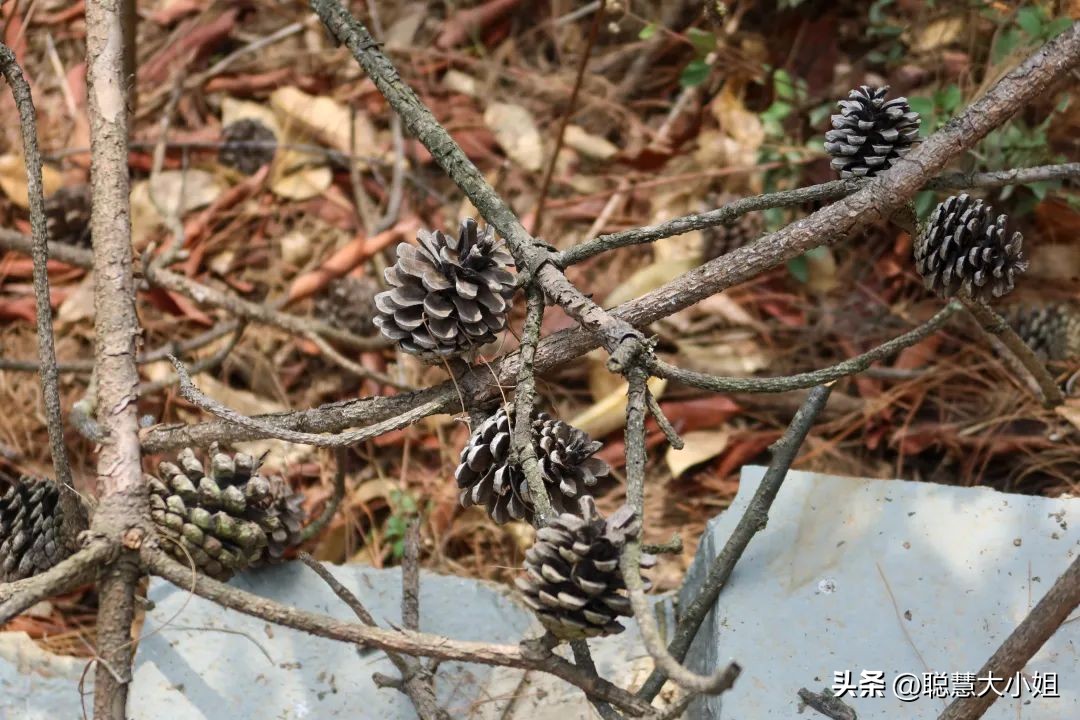 昆明旁边的小城，有山有湖好舒服