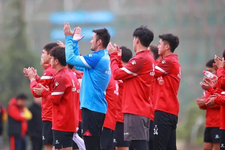 蚍蜉岂能撼动大树啥意思,蚍蜉岂能撼大树下一句是什么