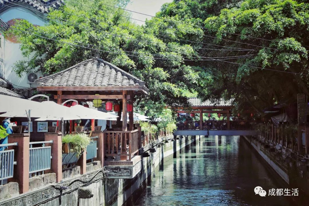 12条时髦老街，长满晒太阳的成都人