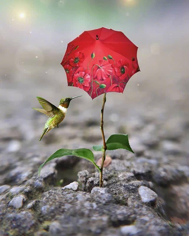 孤独寂寞伤感经典句子朋友圈,一个女人在他乡孤独伤感的句子