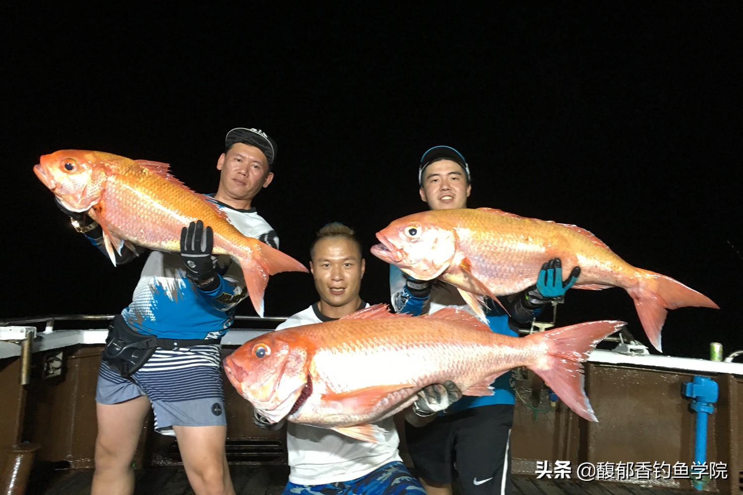 钓海鱼的正确方法10种,钓海鱼用什么饵最有效