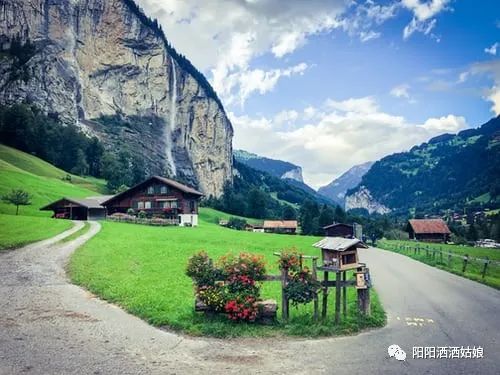 写作文好立意新颖别致,作文立意新颖的方法