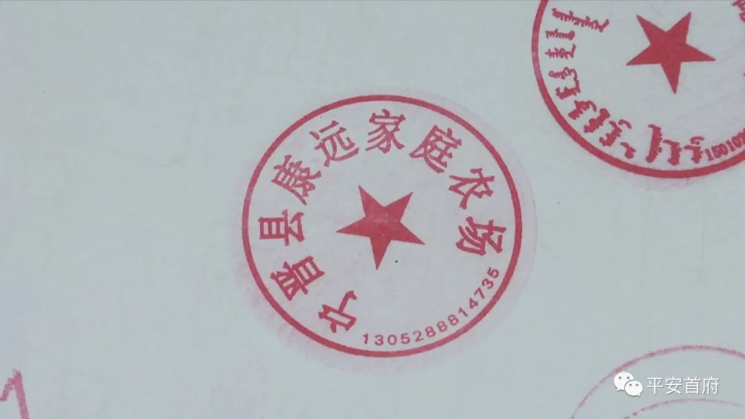 “家族式”制贩*证假**假章伪造的国家机关及企业事业单位印章三百余枚一家人全被抓