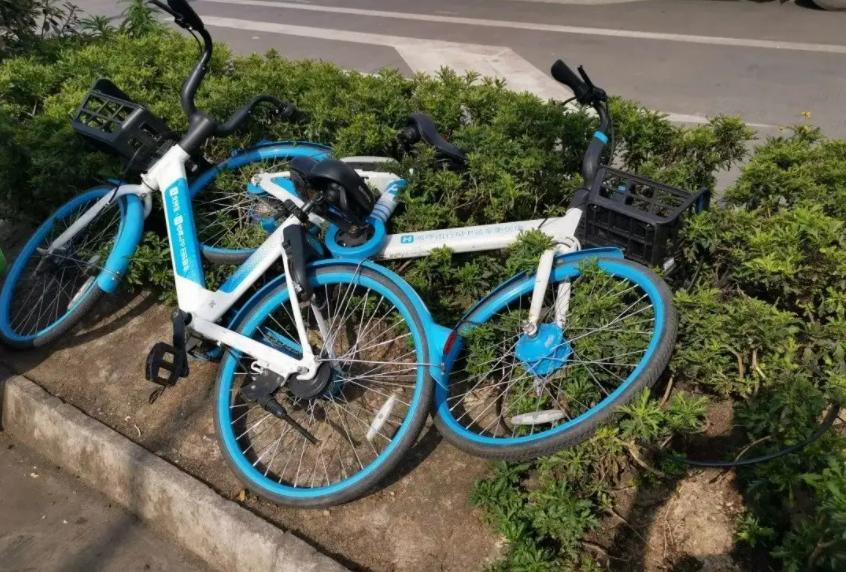 自行车现今状况,自行车为什么销量第一