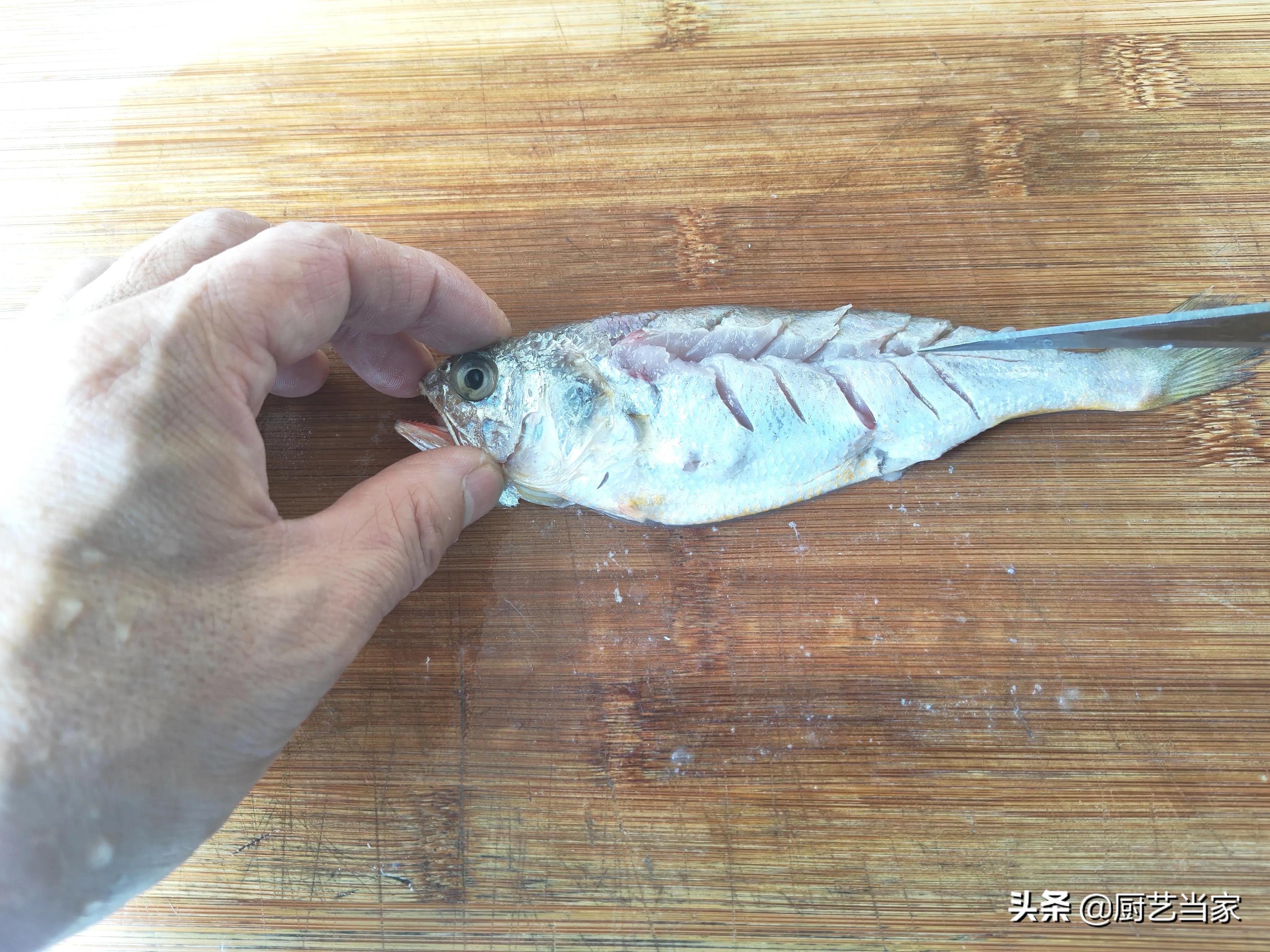 剞花刀教学,清蒸鱼改花刀技法简单