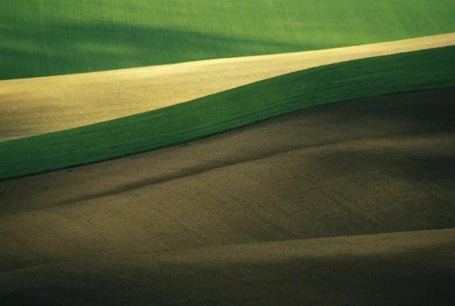 生活不就是苟且还有诗和远方,生活本身就是苟且