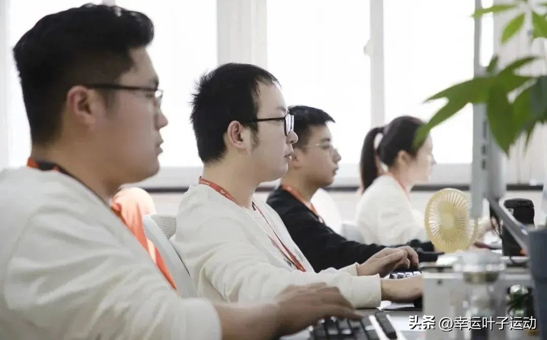 幸运叶子旗舰店卖的为什么便宜,江苏幸运叶子网络科技有限公司