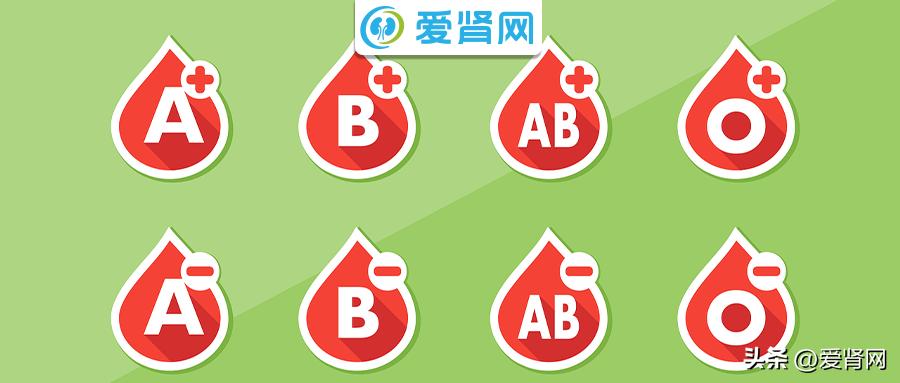 头晕贫血吃什么药最见效,贫血头晕出汗吃什么药恢复快