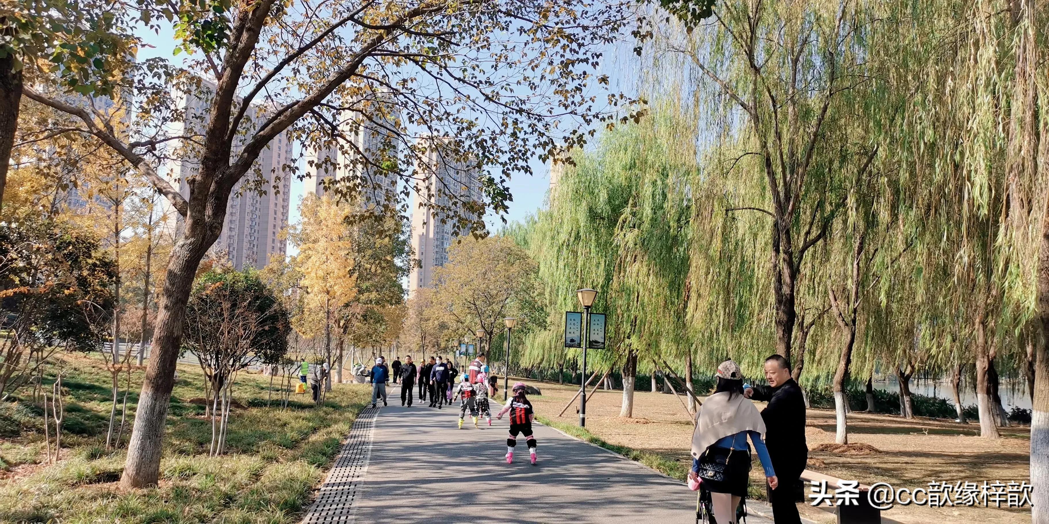 轮滑后滑初学,轮滑班初学