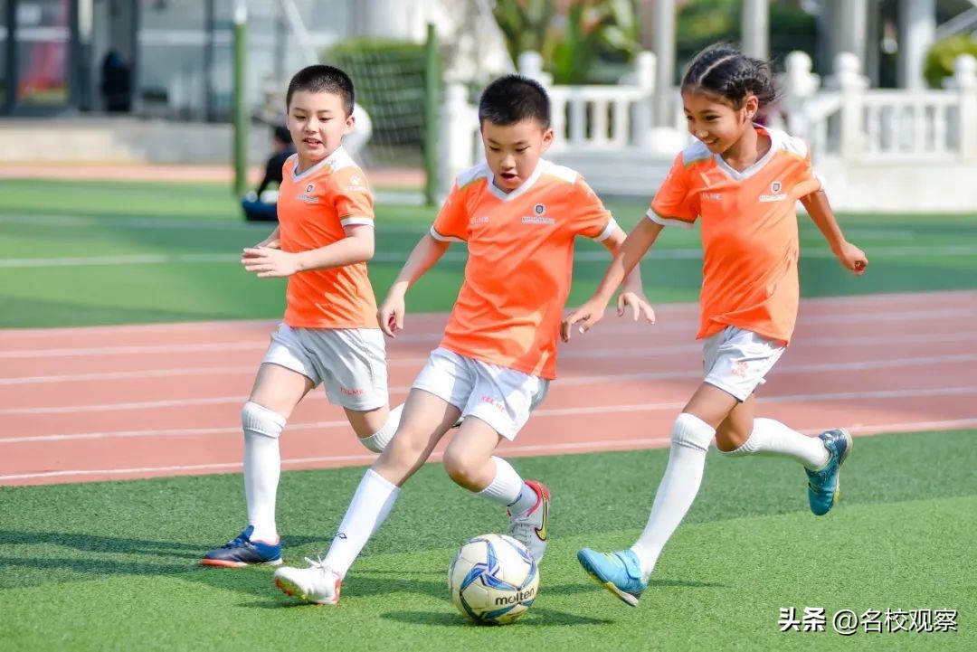 鎹锋姤棰戜紶纭曟灉绱疮,浼樼瀛﹀瓙鎹锋姤棰戜紶