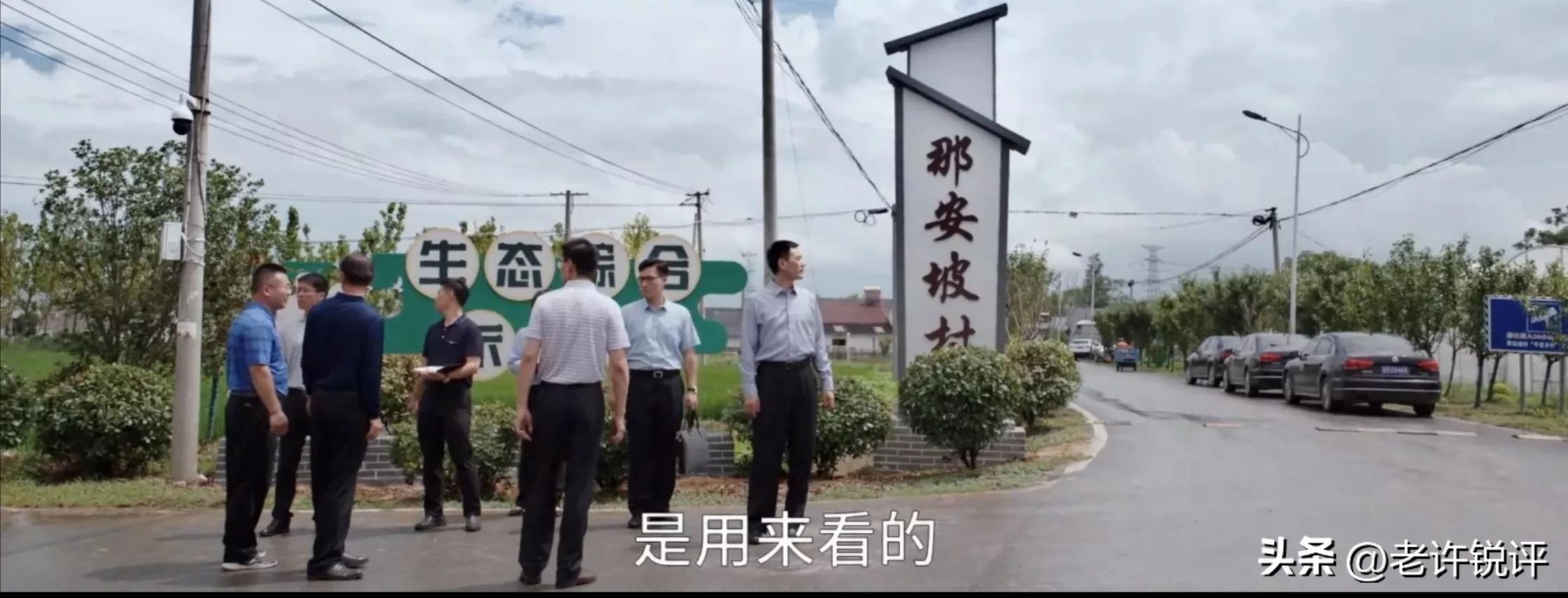 县委大院第1-30集解析,县委大院第八集深度理解