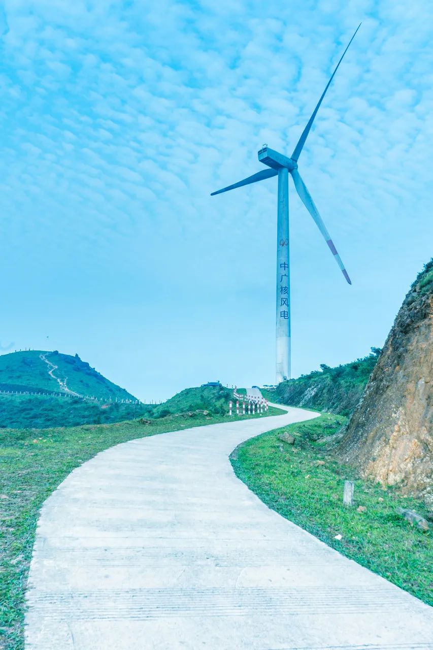 美食之都潮汕,广东茂名的特色美食水果
