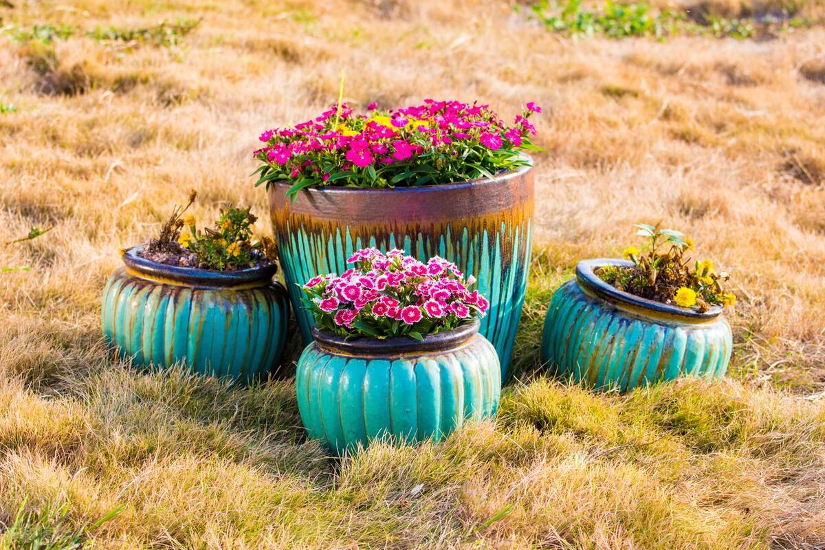 室内好养的绿植方形花盆,最难养的绿植客厅花盆推荐