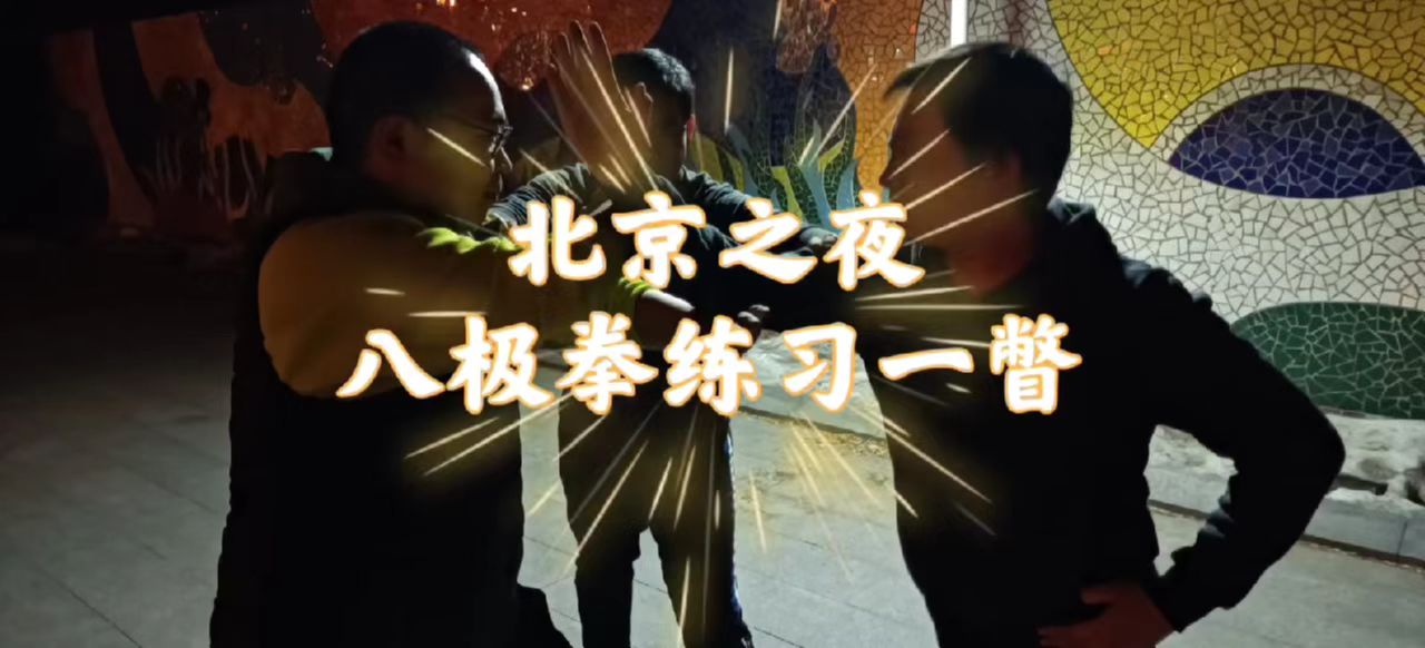 对武术技术动作的理解,自学八极拳有哪些问题