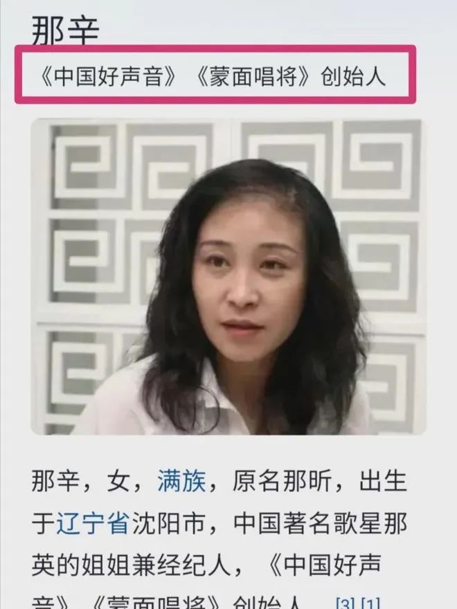 好声音经典感悟,好声音给人的感受