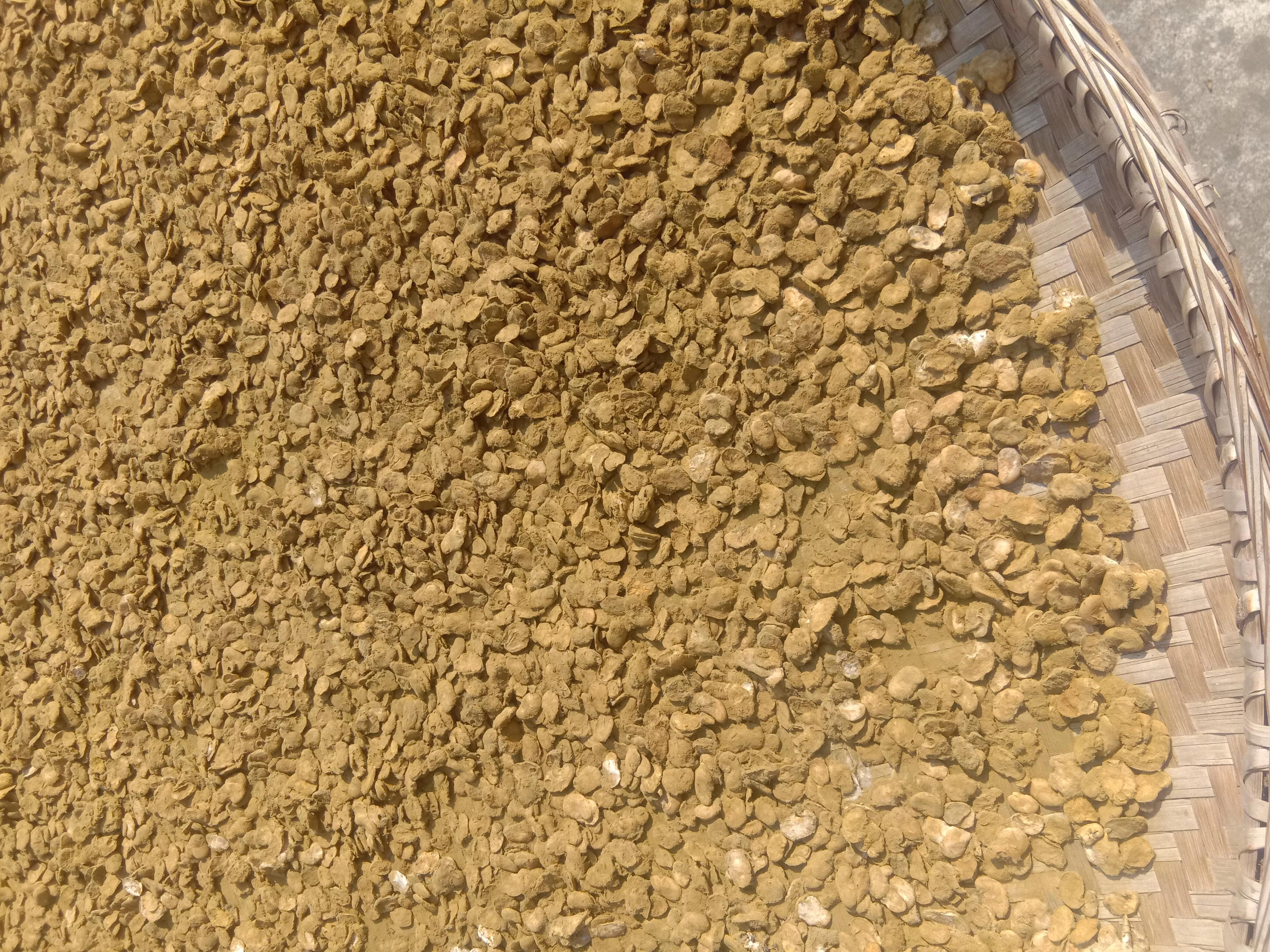 豆瓣酱中的绿霉，是黄曲霉毒素吗？