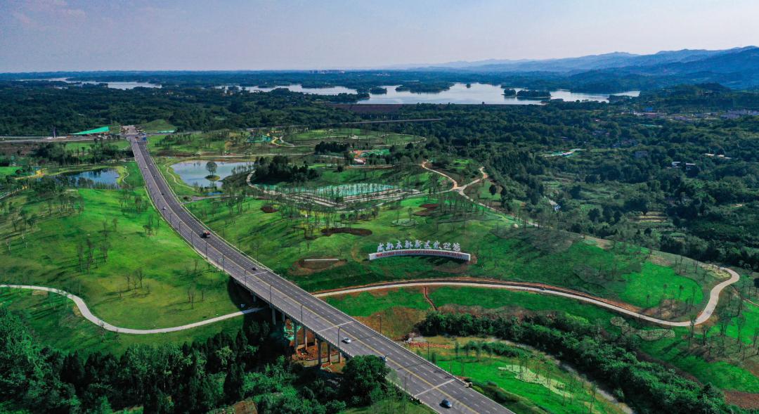 成都新兴的年轻人的去处,成都最适合年轻人就业发展的区