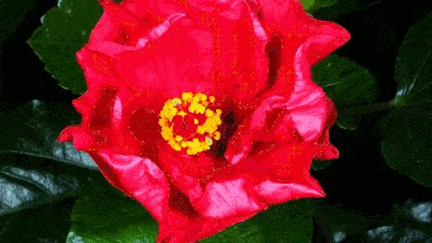 母亲节诗词精选,母亲节古诗词59字