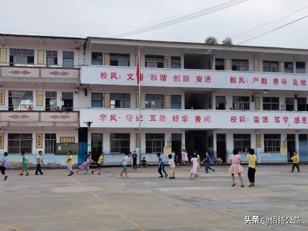 多年后，那群在龙眼树下玩耍的孩子们还好吗