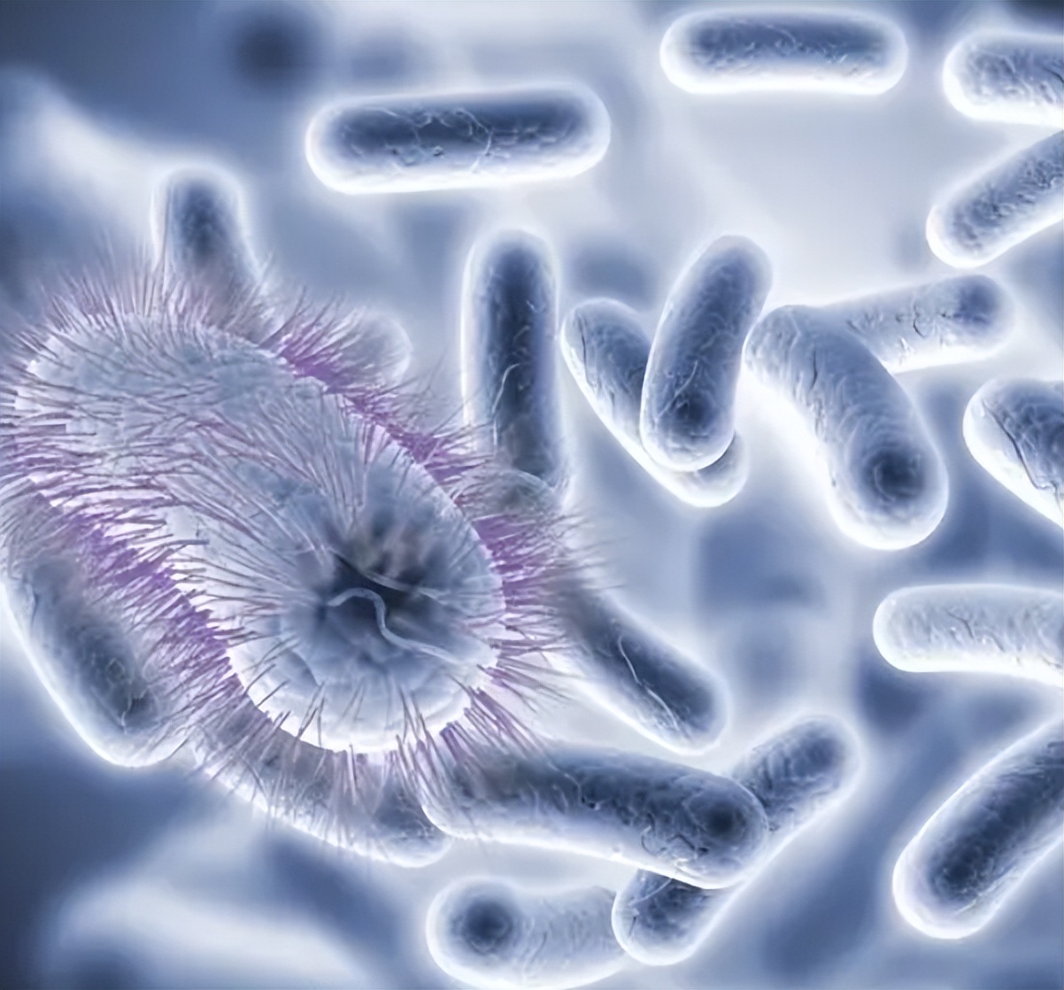 不起眼的五个行为正在毁掉你的肾,6个不起眼的习惯正在伤害眼睛