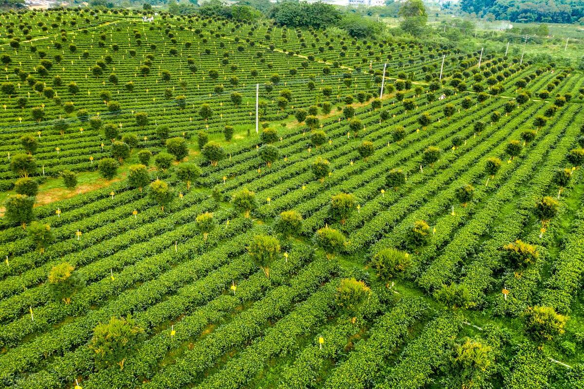 清远英德老虎谷溶洞漂流,广州出发清远三天两夜旅游攻略