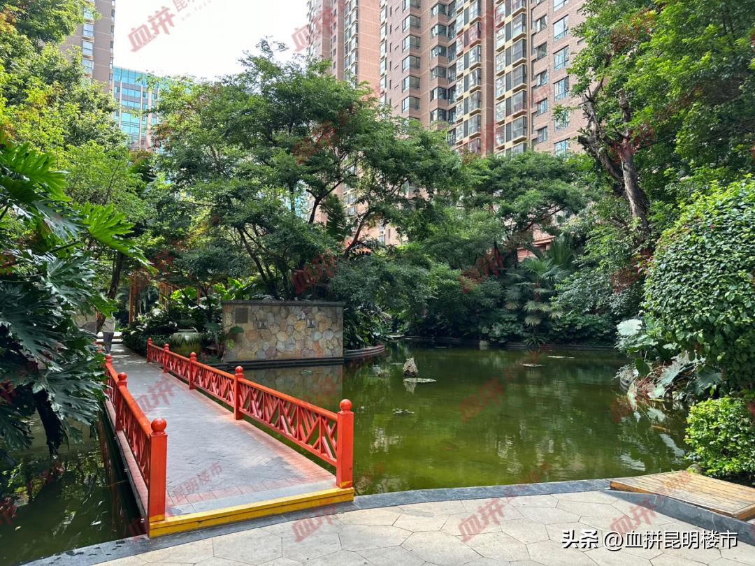 同样是背靠大型城市商圈,这个小区却算不上贵?