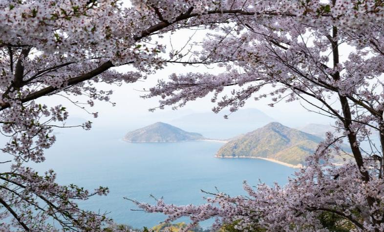 2020年最佳15个度假胜地,世界最佳度假胜地前三名