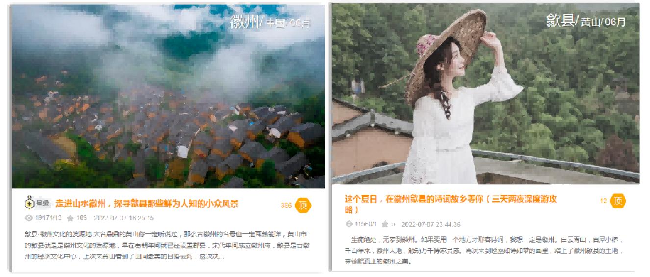 春花灼灼约会歙县以花传名，提升歙县文旅品牌新高度