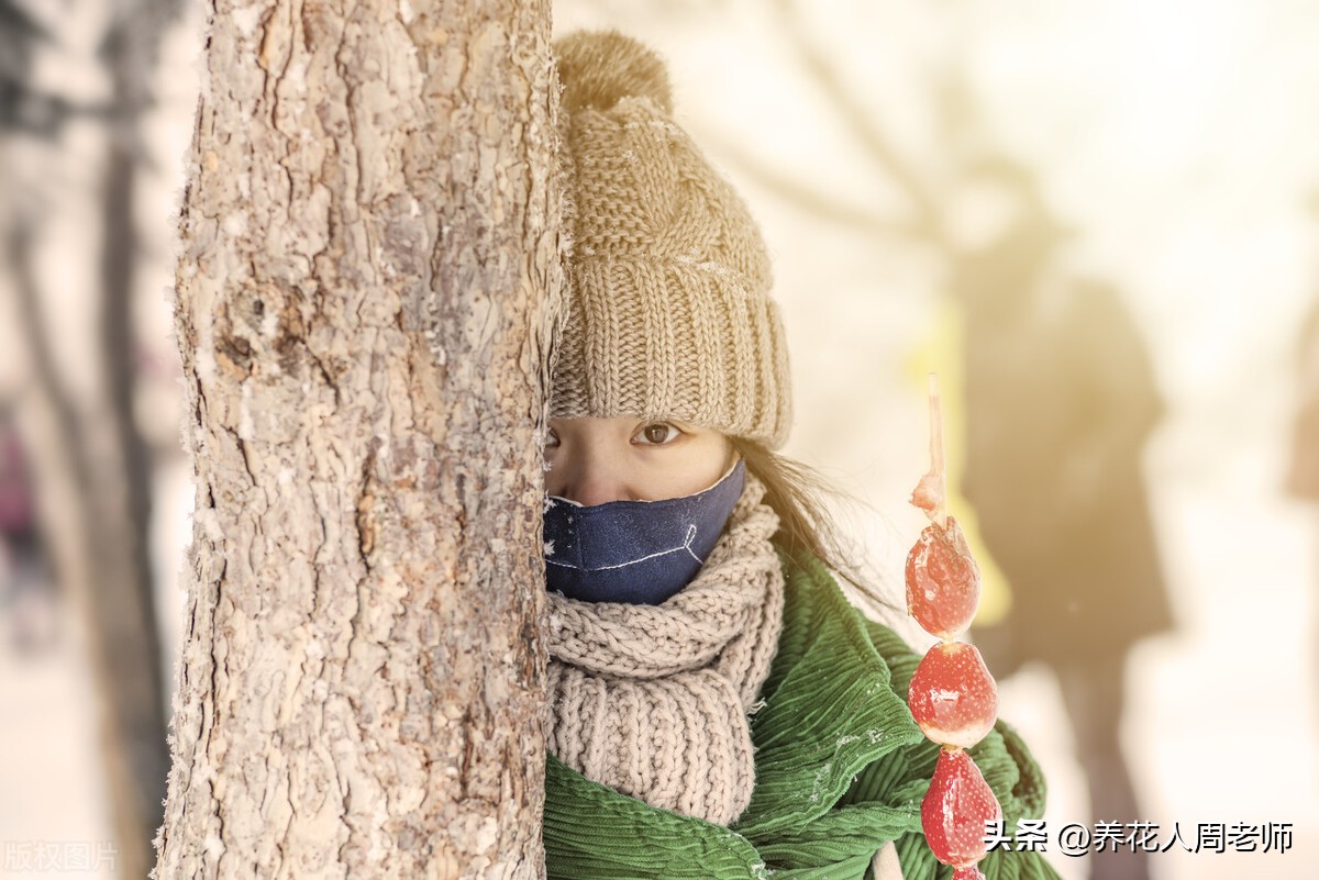 八年级作文仿写素材,八年级下册语文第一单元作文仿写