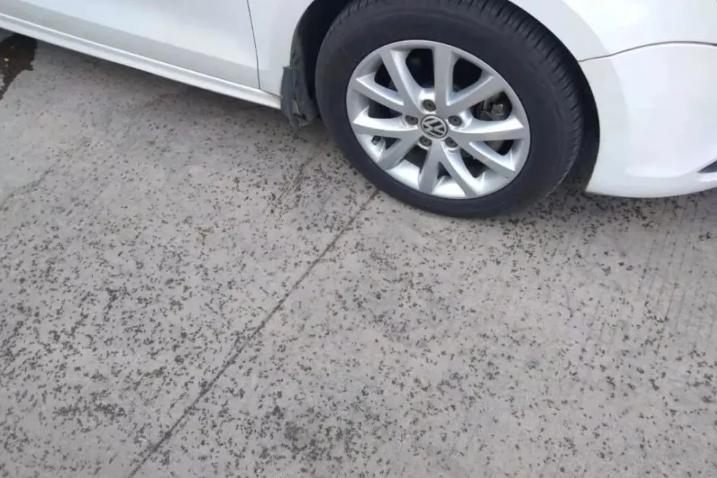 摇蚊为什么会爆发,摇蚊传播疾病吗