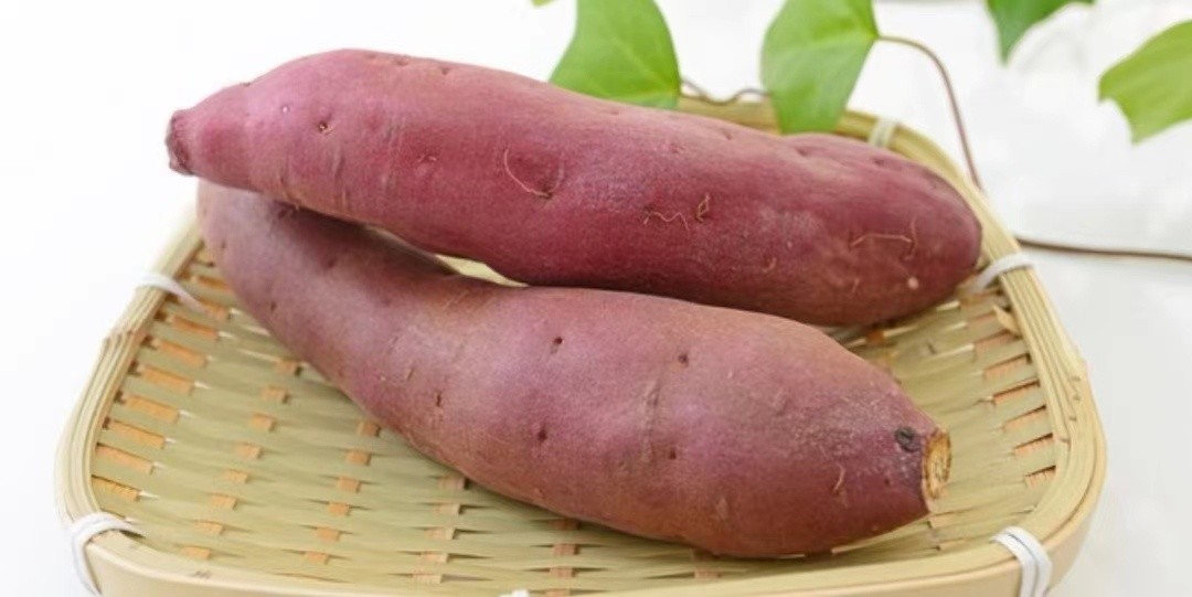 阳了要忌口哪些东西,阳了饮食有什么忌口