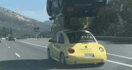 开心一刻｜有人接单吗？接一下我的孤单