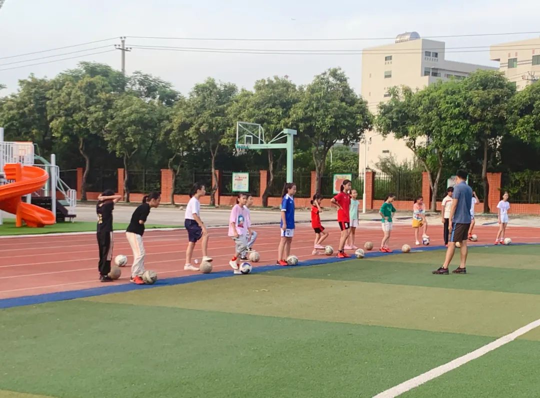 我们的校园,美丽的厦门何厝小学