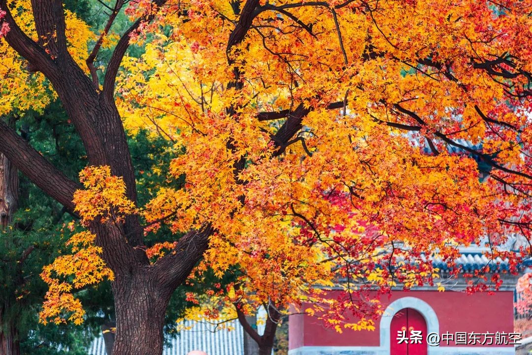 邀你来一场秋天的约会,和秋天来一场约会