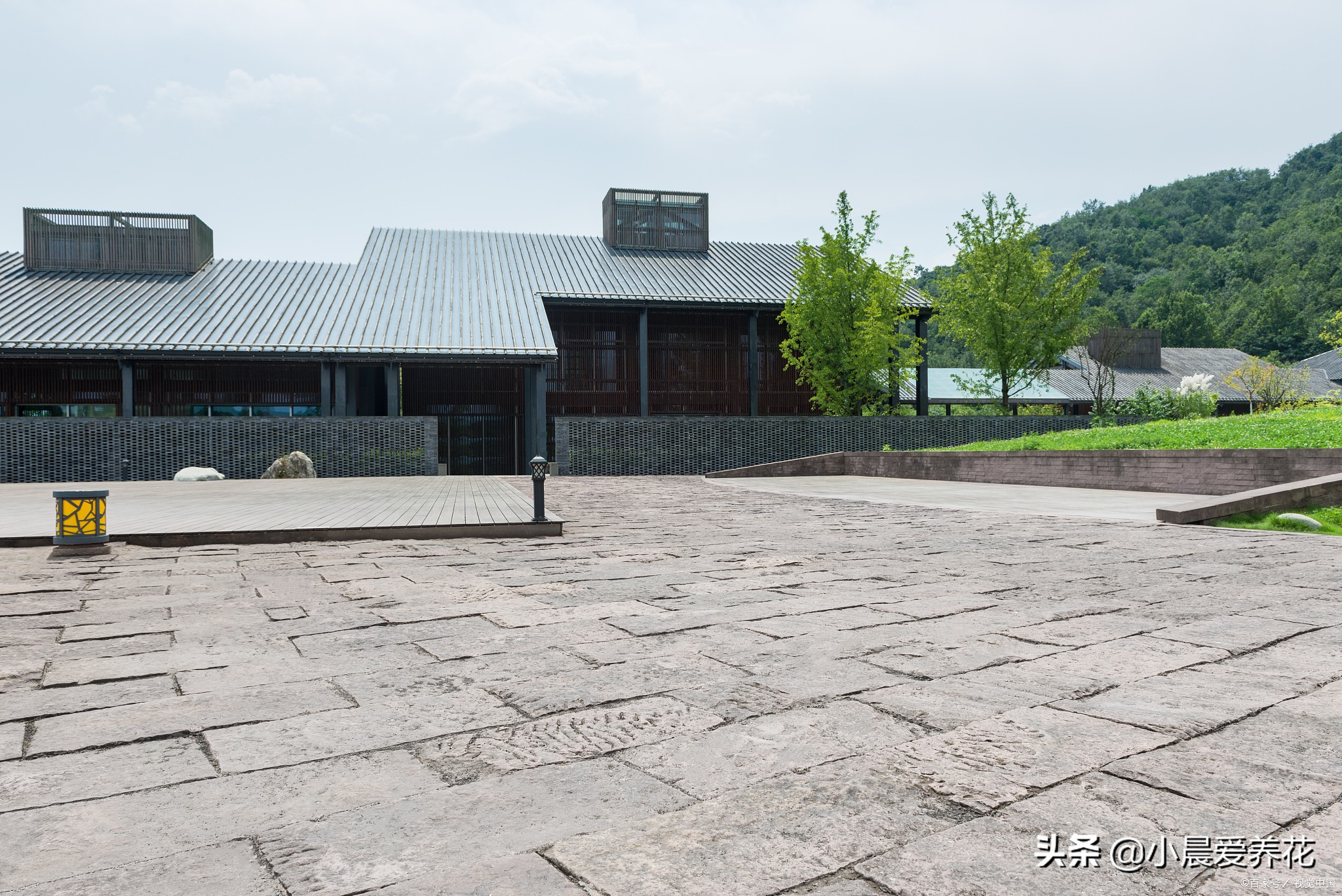 田地里的草不用除草剂怎么除,如何不用除草剂清除杂草
