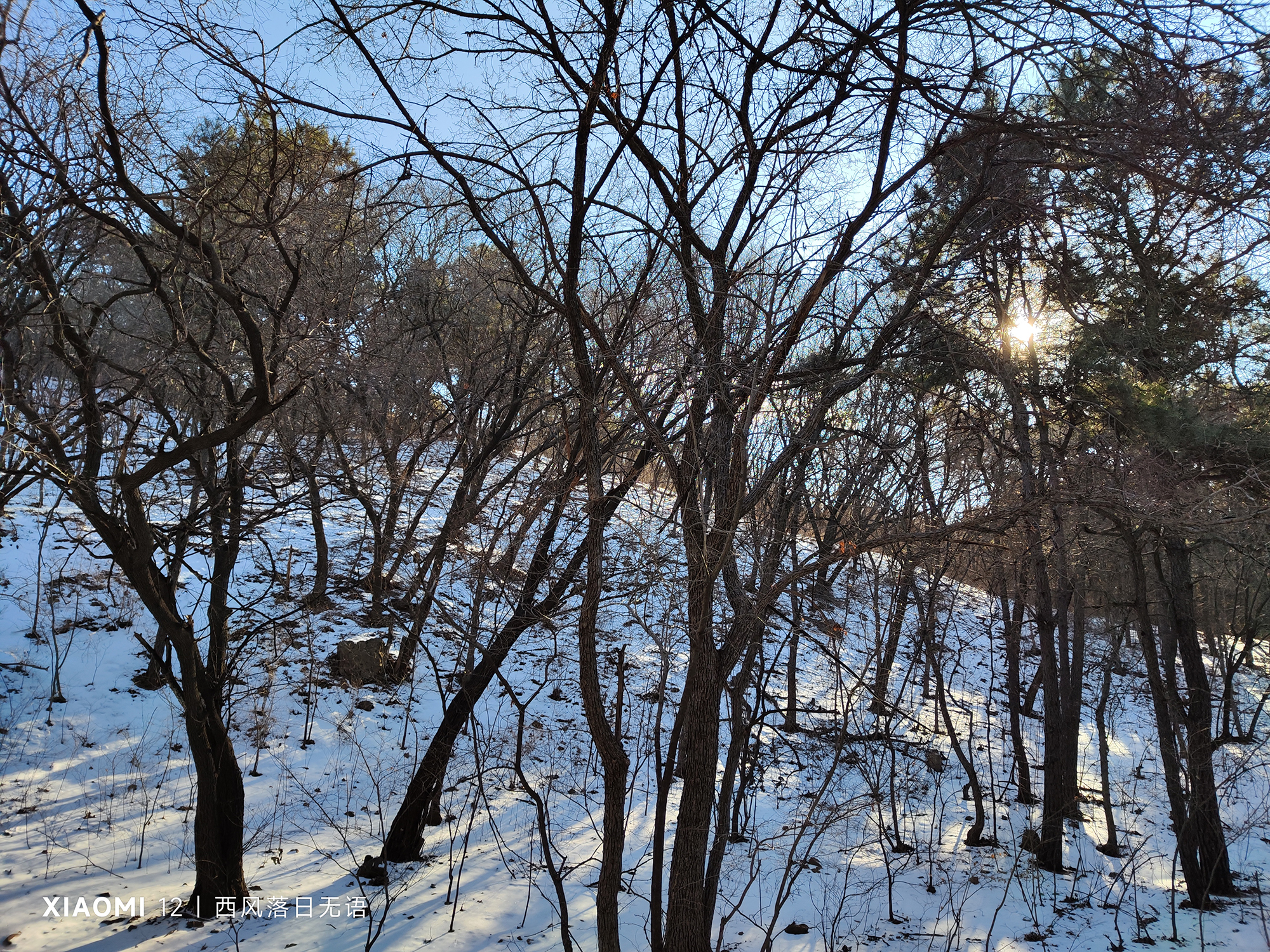 小米12哪一款更值得入手,小米12还值得入手么最新