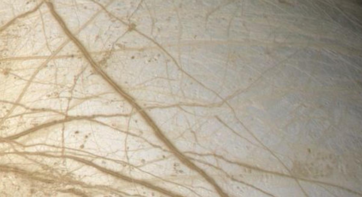 木卫二上有章鱼吗,土卫二存在外星生命的概率