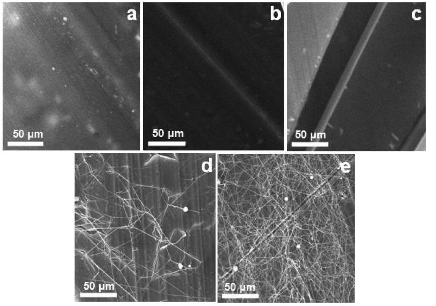 环保壳聚糖基纳米纤维，在处理水污染方面的应用