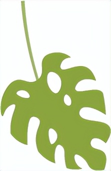 不负时光幼儿园开学活动,开元路幼儿园开学第一天