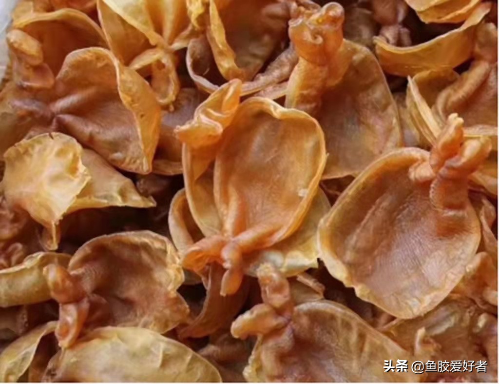 泰国老胶是什么胶,假老胶