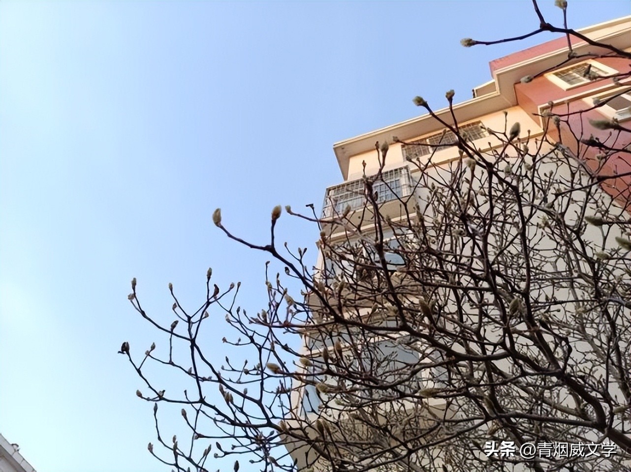 七律春风拂面,两会春风七律