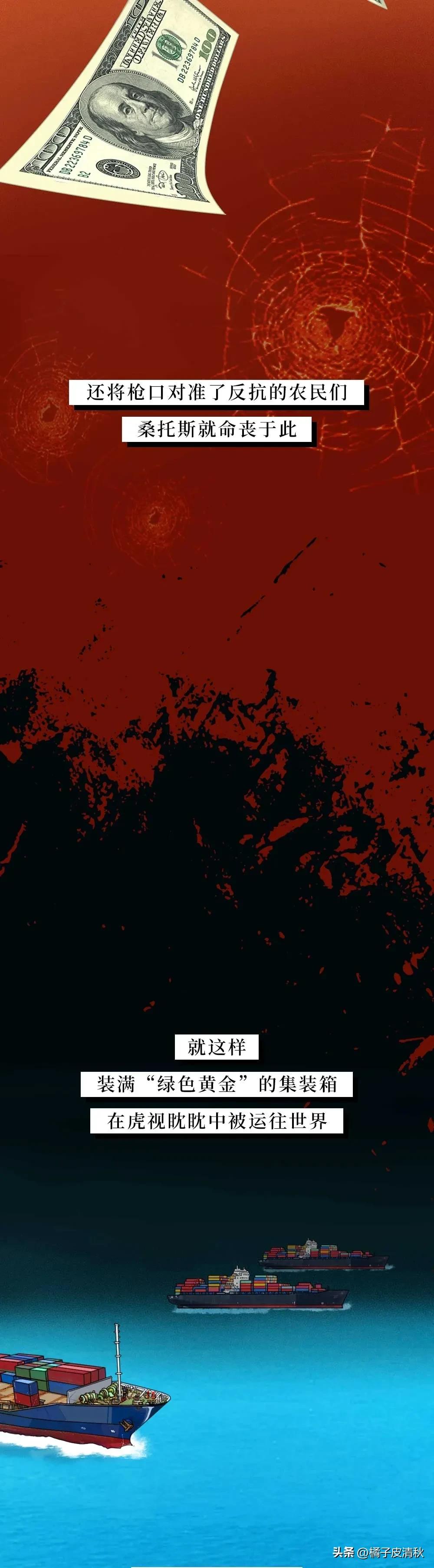 墨西哥进口牛油果,墨西哥牛油果云南