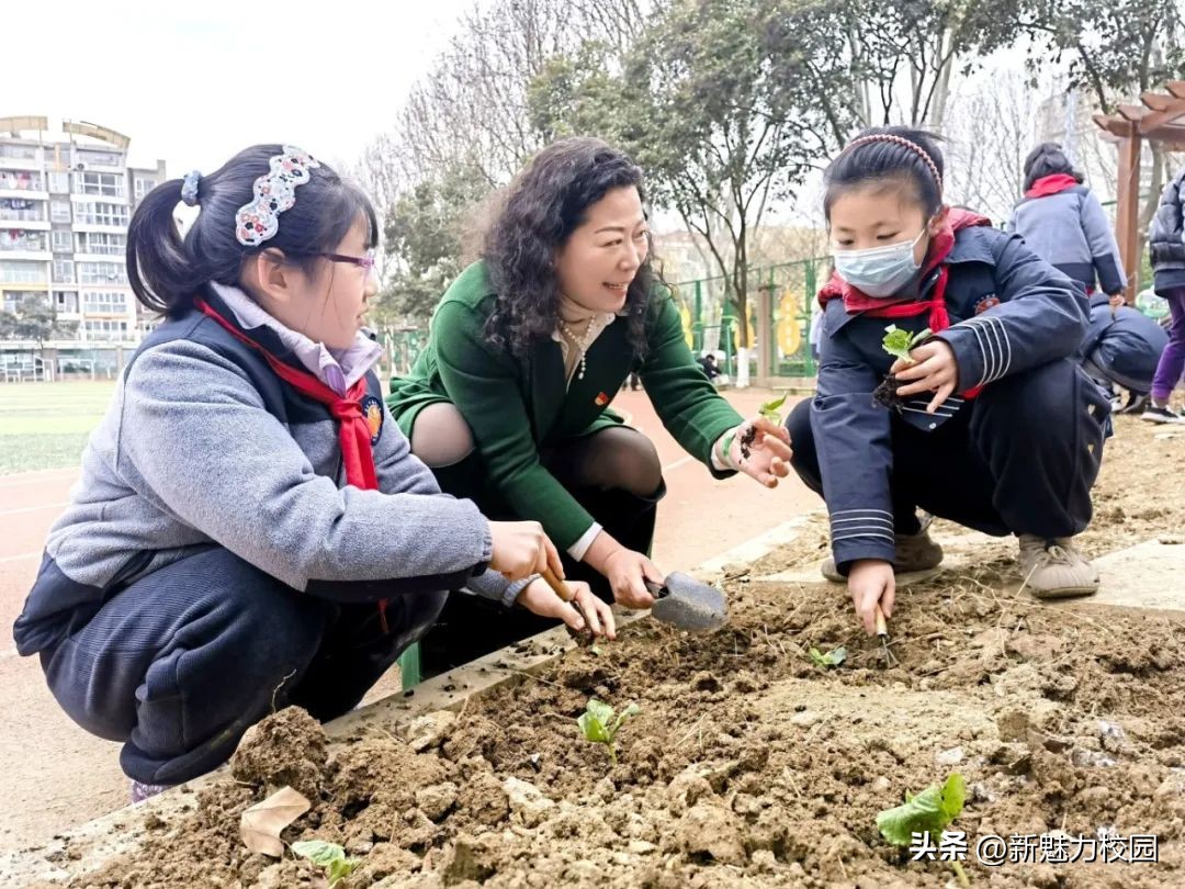 劳动创造幸福创意活动小学,劳动创造美好生活小学活动
