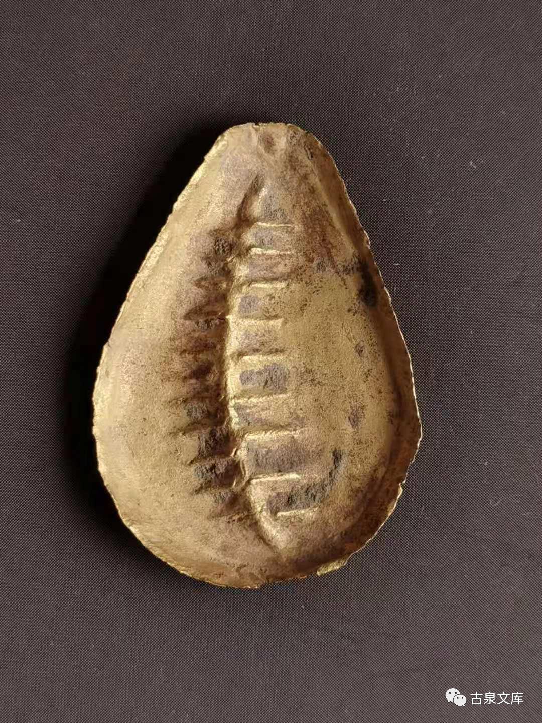 天然贝币真品价格,原始贝币发展史