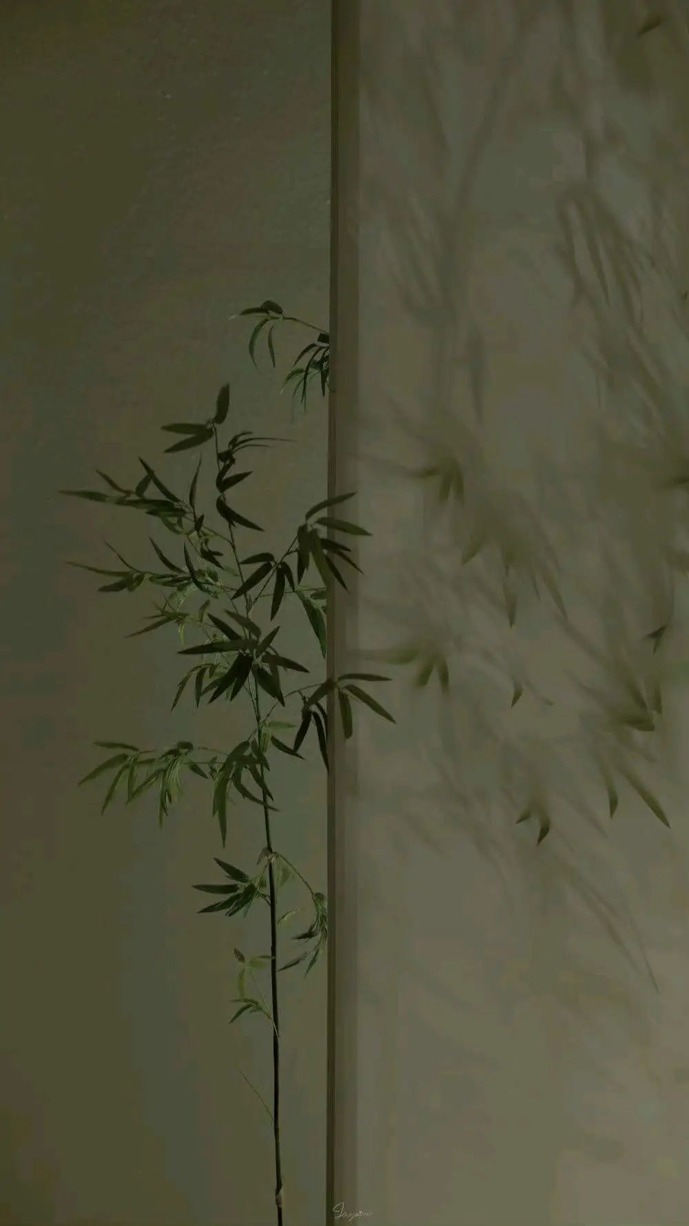 茶道的魅力在于心静,茶道之源的原理