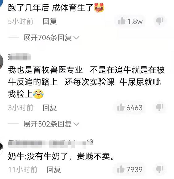 谁的毕业论文在乱跑啊,谁的毕业论文在乱跑