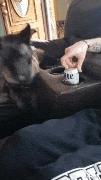 麻麻说了,谁要是娶了我,后面的苞米都是你的,哈哈哈