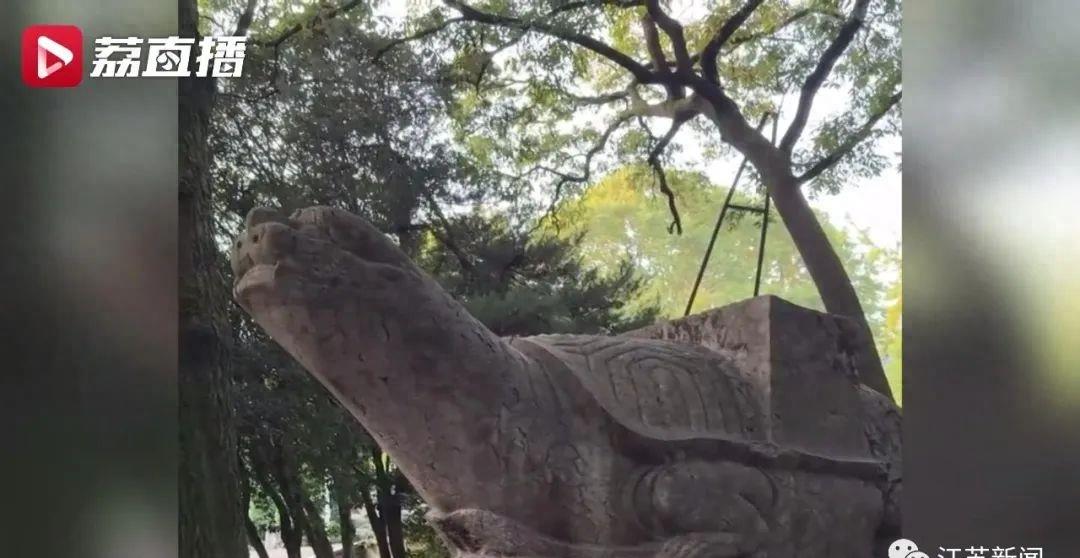 灵谷寺文物被熏黑,南京灵谷寺赑屃