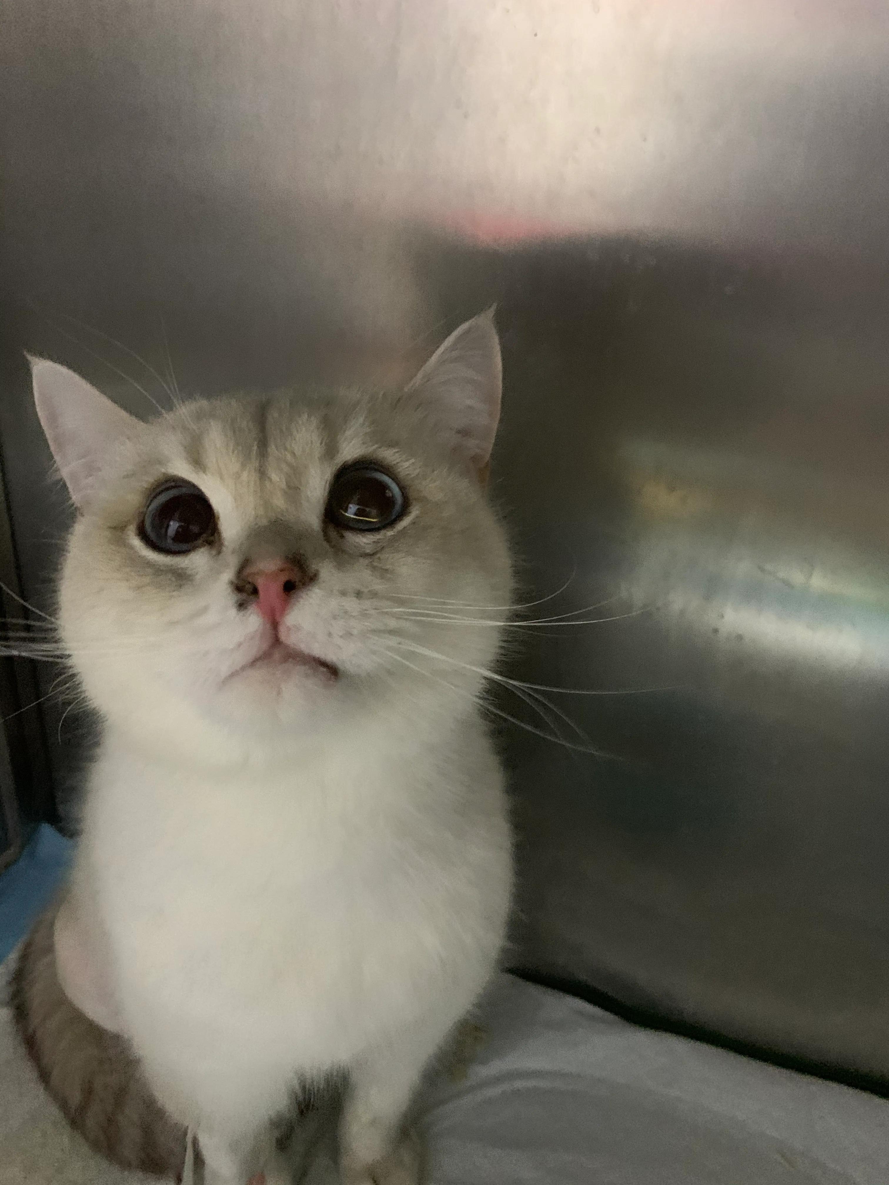 探视我家的小宠——点点