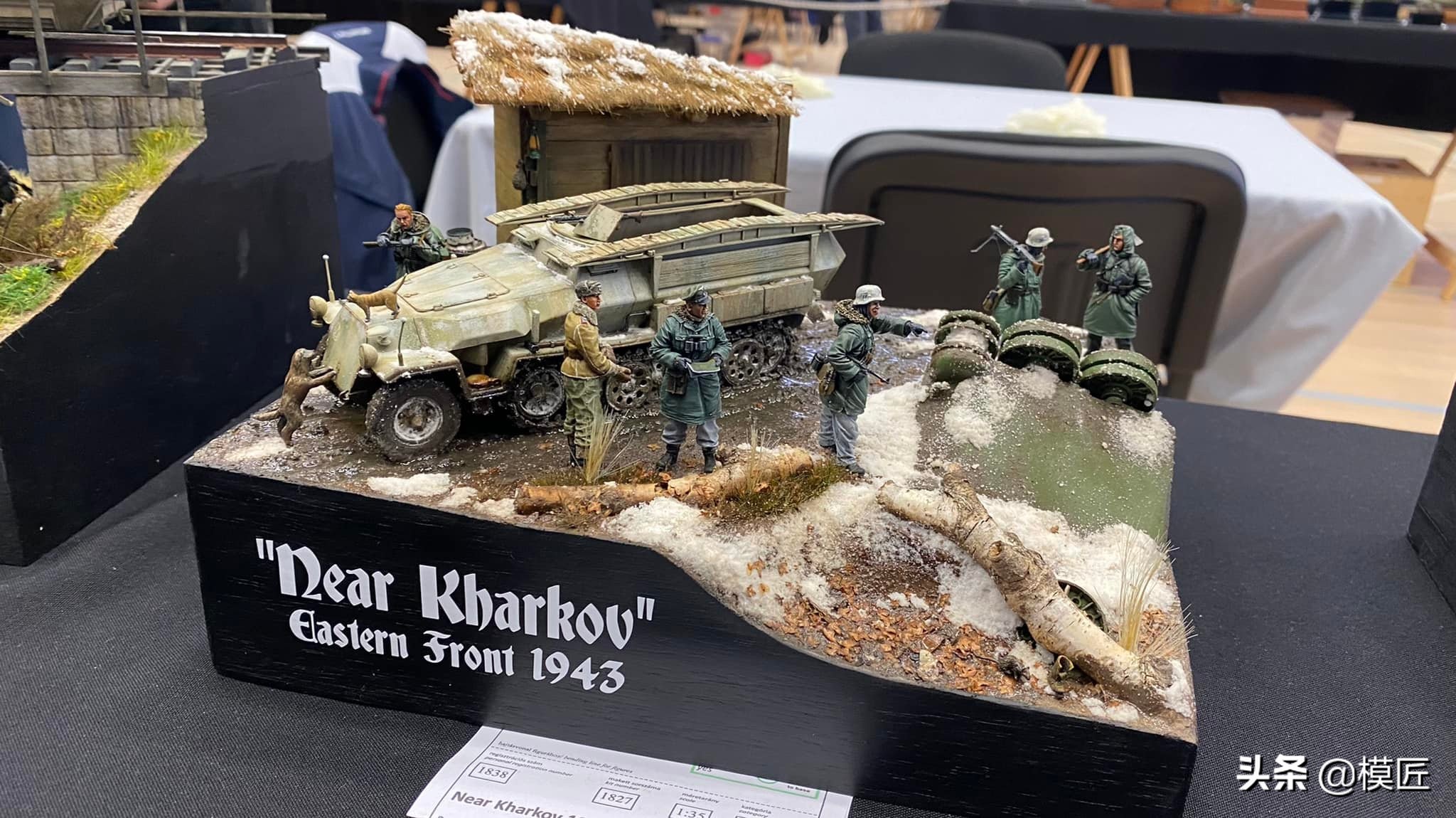 匈牙利莫森金奖,莫森模型展